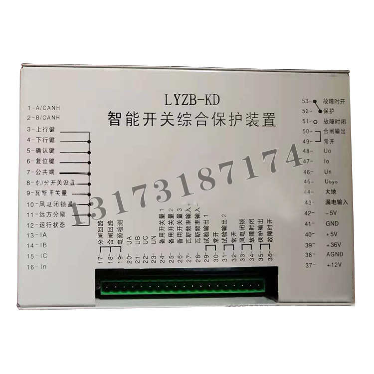 LYZB-KD智能開(kāi)關(guān)綜合保護(hù)裝置-1.jpg
