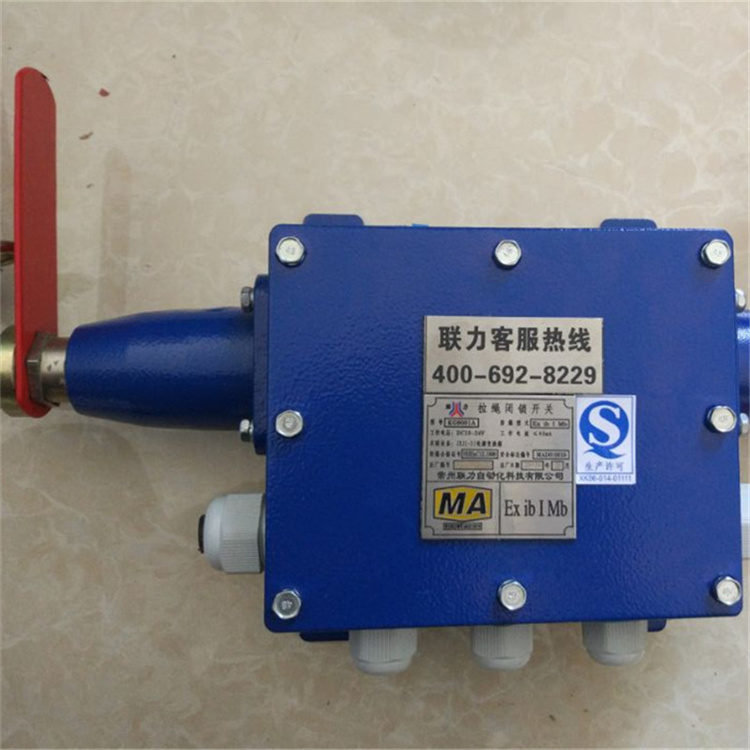 常州聯(lián)力KG9001A-D-Z-C2拉繩閉鎖開(kāi)關(guān)-1.jpg